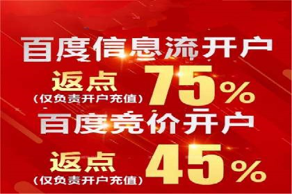 百度推广的投放策略与效果分析